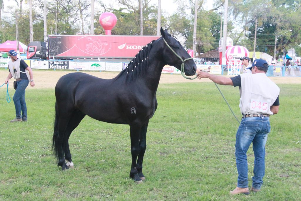 Exposição 5 p