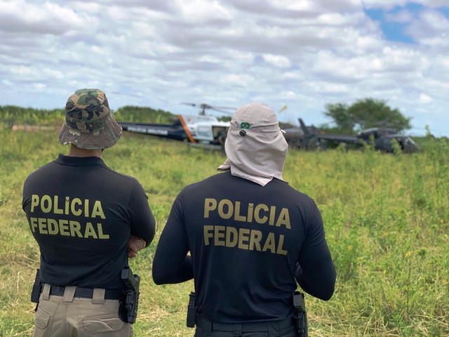 Polícia-Federal-destrói-234-mil-pés-de-maconha-no-Sertão-de-Pernambuco