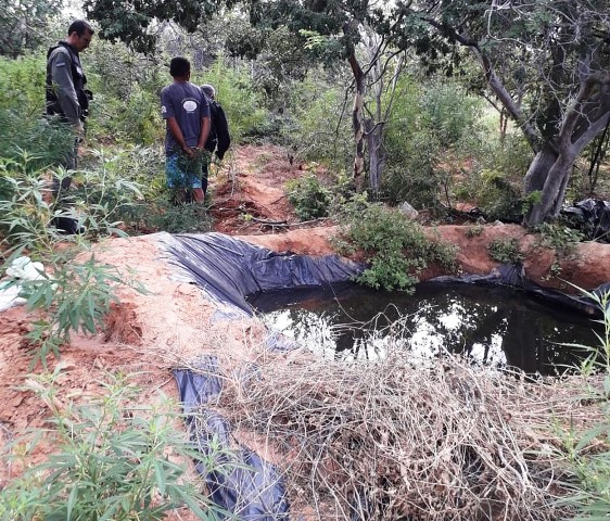 Mais-de-7-mil-quilos-de-maconha-são-apreendidos-e-erradicados-cerca-de-2-mil-pés-da-erva-em-Parnamirim-PE