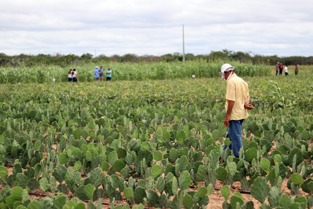 Agricultura-Foto-Jonas-Santos-2-630x420